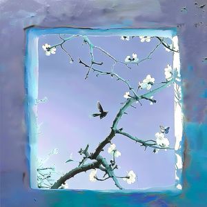 凯特温斯莱特裸被❌视频
