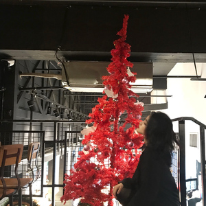 凯特温斯莱特裸被❌视频
